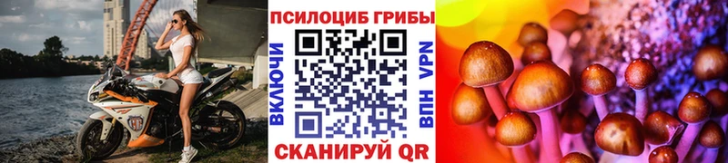 Псилоцибиновые грибы MAGIC MUSHROOMS  блэк спрут ссылка  Усть-Кут 